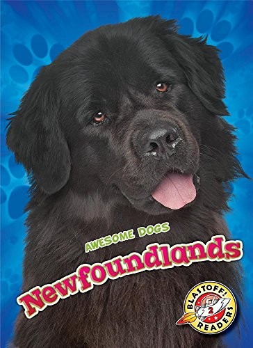 Newfoundlands by Nathan Sommer HARDBACK 9781626176140 - Image 3
