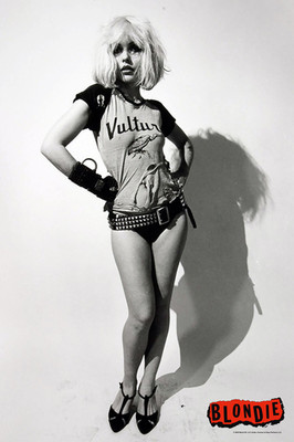 Blondie Vultures Punk Rock Debbie Harry Cool Wall Art Print Poster 12x18