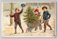 Jersey Coffee Children Wheelbarrow Tree   P464