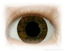 REBORN DOLLS Half Round 16 mm Dark Brown Optical Grade  REBORN DOLL SUPPLIES