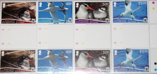 ASCENSION 2011 1151-54 rynna czerwony dziób tropikalny ptak WWF Red Billed Birds MNH - Zdjęcie 1 z 1