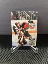 1991-92 Pro Set Platinum - Dominik Hasek #252 (RC)