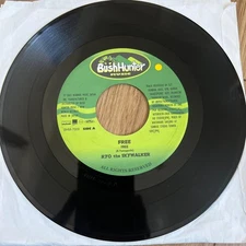 RYO the SKY WALKER 7" Record FREE & Rude-Boy Versions Vinyl Music