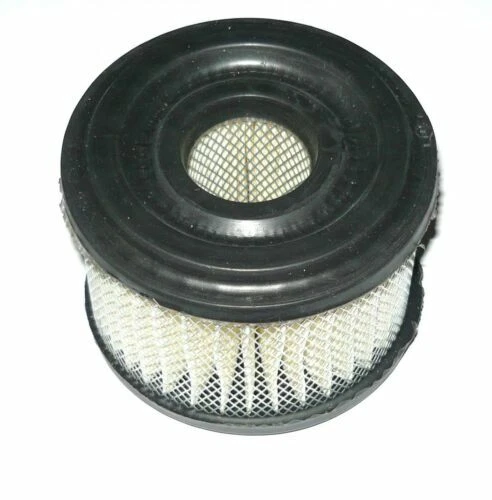 Tondeuses à gazon Briggs & Stratton