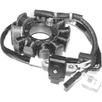 Hochwertiger Stator SGR für Dink 125/150 F18 Superduke und andere Beta Eikon Kym