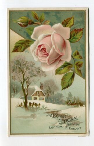 Victorian Trade Card AB CHASE ORGAN pink rose winter scene - Afbeelding 1 van 2