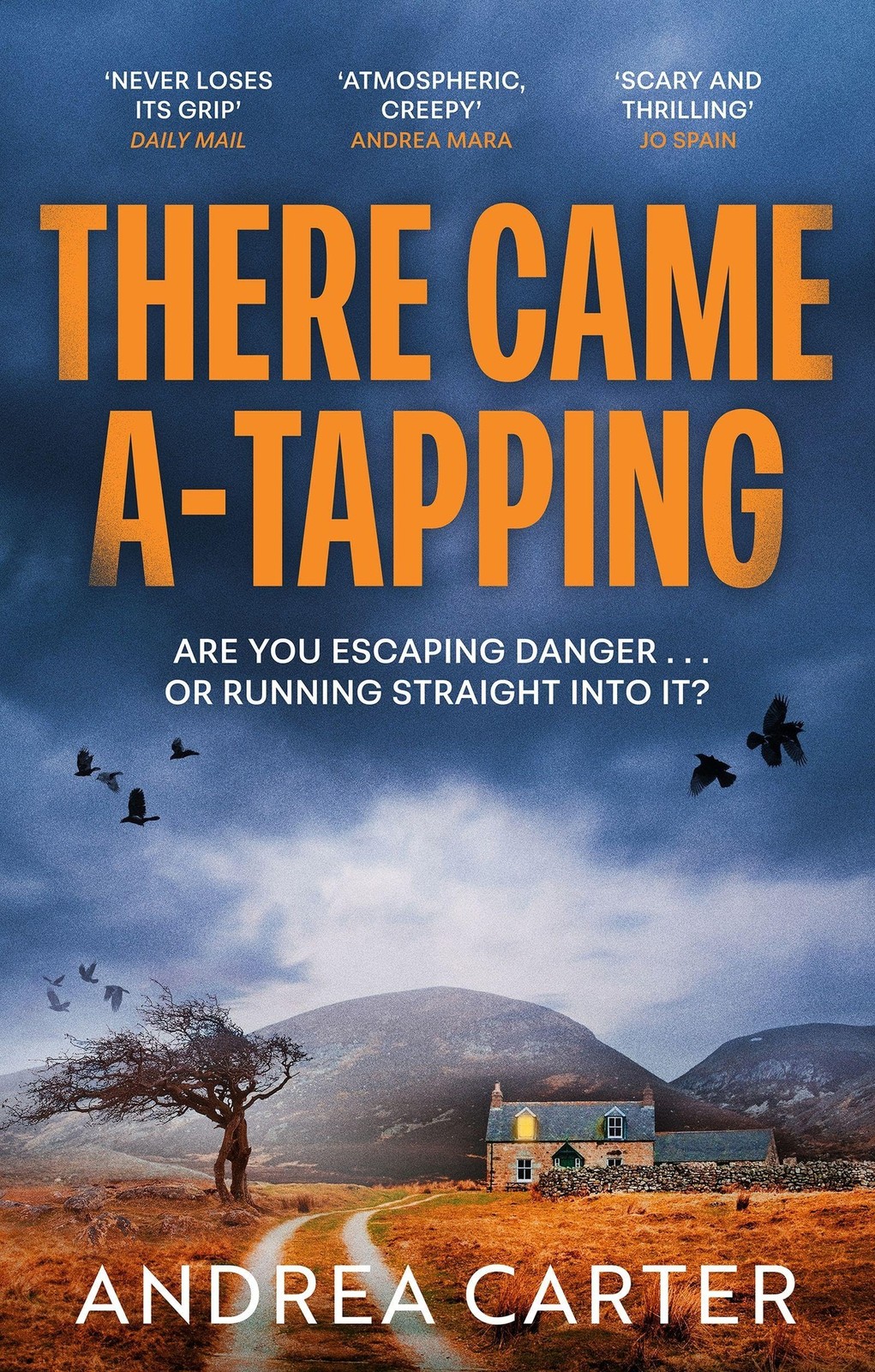 There Came A-Tapping by Andrea Carter - - Image 8