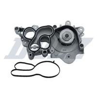 Dolz Wasserpumpe Passend FüR Audi A3 Seat Ibiza MII Skoda Citigo Fabia VW Load P
