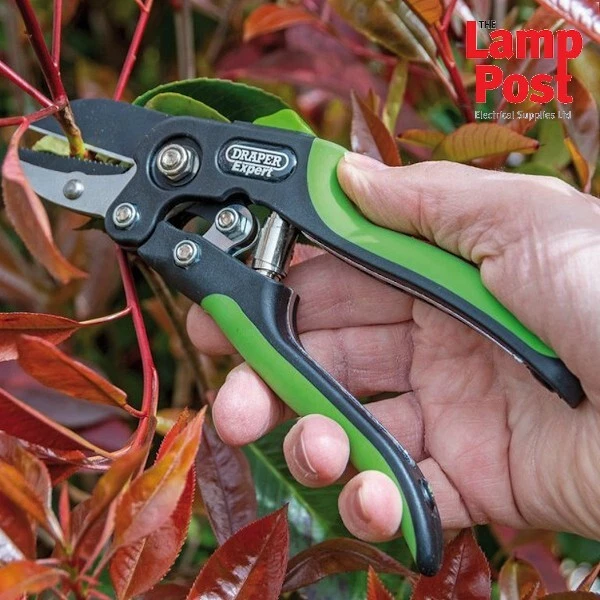 Draper 94983 Expert Anvil Pattern Secateurs Garden Pruning Tool 200mm - Image 2 of 2