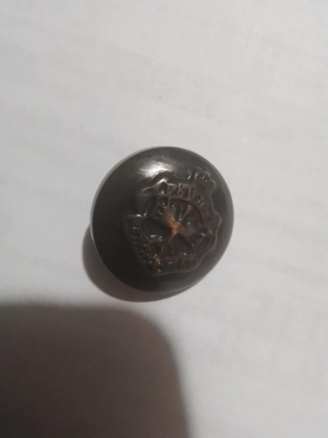 Picture 13 of 15