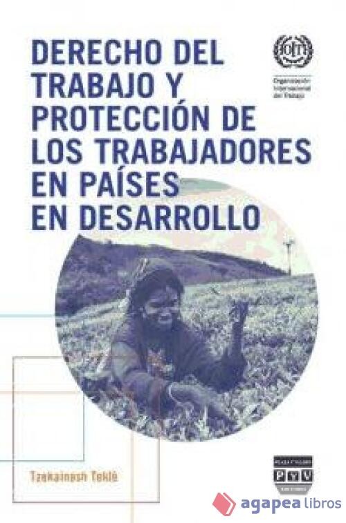 DERECHO DEL TRABAJO Y PROTECCIÓN DE LOS TRABAJADORES EN PAÍSES EN DESARROLLO