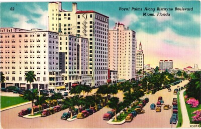Royal Palms Along Biscayne Blvd Miami Florida Postcard 1940s Vintage Linen Retro