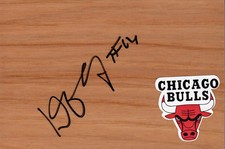 Chicago Bulls Daequan Cook Signed FloorBoard COA