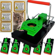 Mouse Traps for Mice – 6 Pack Heavy Duty Includes Bait Reusable Snap Mouse