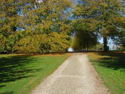 Foto A3 Die Einfahrt, Polesden Lacey Die Hauptauffahrt vom Haus Towa c2014