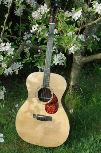 Breedlove Revival OM Tenor Guitar - Braz Rosewood, Made in USA, one of a kind
