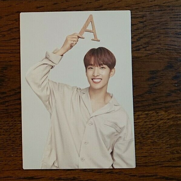 SEVENTEEN セブチ ode to you ドギョム DK ワッペン DK 'Ode to You' JAPAN Tour Limited Official Photocard