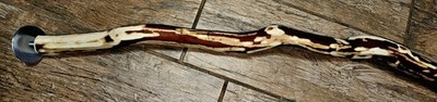 Arizona Manzanita HANDMADE XL Bird Perch with Double Hardware-New! 32 INCH!
