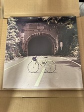 The Backseat Lovers - When We Were Friends - Galaxy Colored Vinyl LP In Hand