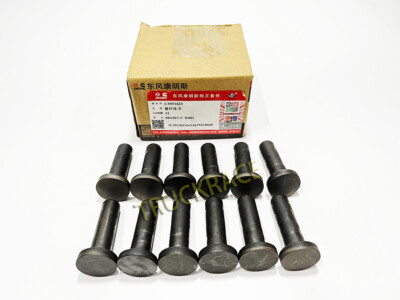 OEM DCEC Camshaft Tappet Qty 12 For Dodge Cummins 5.9L 6BT 12V Engine 3901787