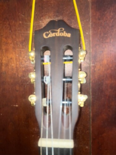 Cordoba La Playa Frankenreiter Cutaway Chitarra elettrica da viaggio con corde in nylon - Foto 15 di 21