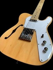 New Semi-hollow Thin-line 12 String Electric Guitar + Gig Bag
