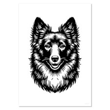 'Mudi' Wall Posters / Prints (PP048701)