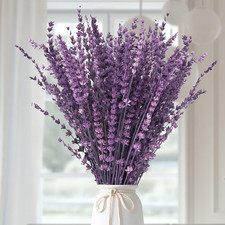 Dried Purple Lavender Flowers Bundle-Dried Preserved Lavender Bouquet 15-17" for