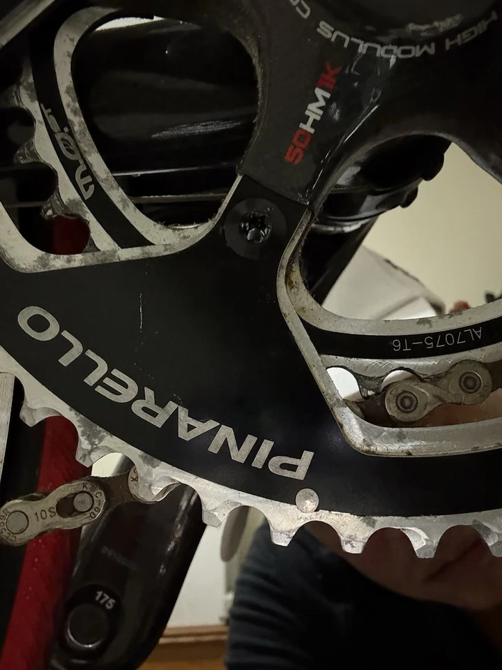 Bicicleta Rising Daccordi Foto 4 de 4