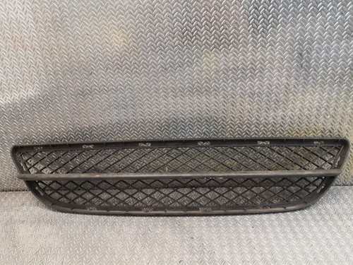 BMW E90 Vorne Stoßstange Grill Unten Mitte für 3 Serie E90 E91 OEM 7134074