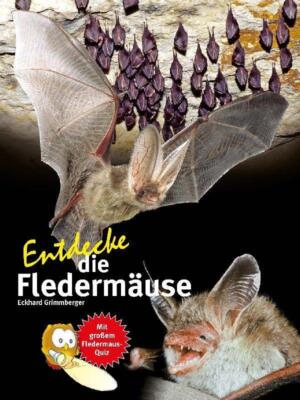 Entdecke die Fledermäuse | Buch | 9783866595026
