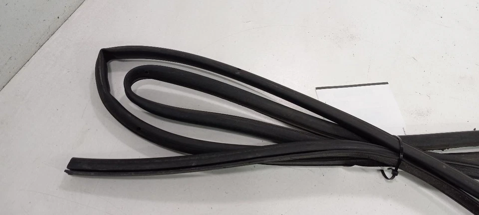 Vedação de porta Volkswagen Rabbit borracha direita passageiro dianteiro 2006 2007 2008 2009 - Imagem 3 de 4