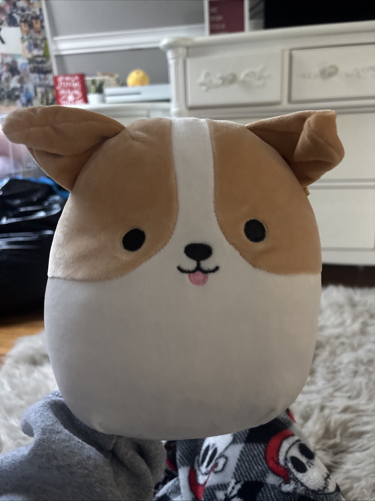 Squishmallow 6-14 Inch Soft Plush Dog Toy - 086-13-3318