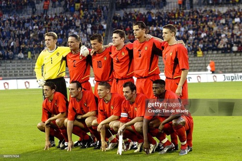 BÉLGICA camiseta portero llevada en partido vs Bulgaria 2002 Herpoel 02-03 NIKE - Imagen 3 de 10