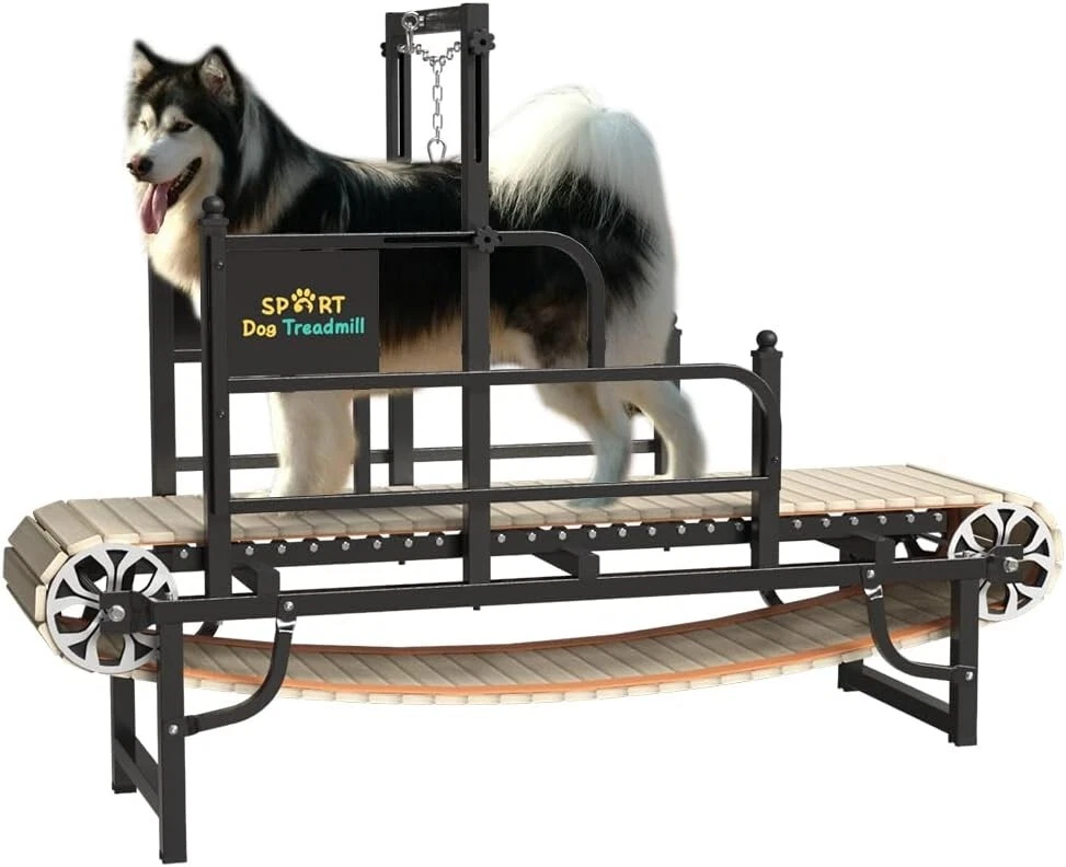 Large JOG A DOG Treadmill - Model DC67