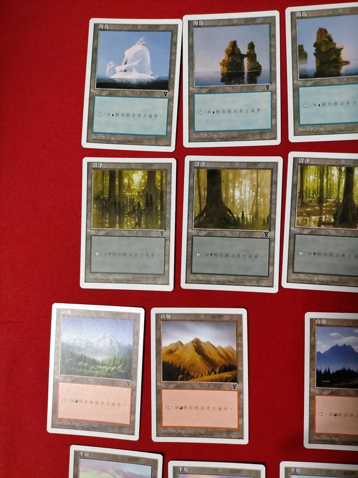 MTG 20 Land 5th V Symbol Simplified Chinese (14Mint & 5NM & 1EX) - Image 2 of 4