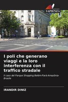 Irandir Diniz | I Poli Che Generano Viaggi E La Loro Interferenza Con Il...