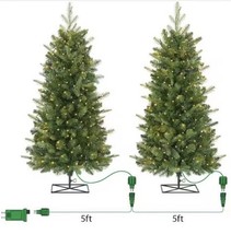Home Decorator 2 pk 3 ft. Grand Duchess Twinkling Balsam Fir LED PreLit Trees