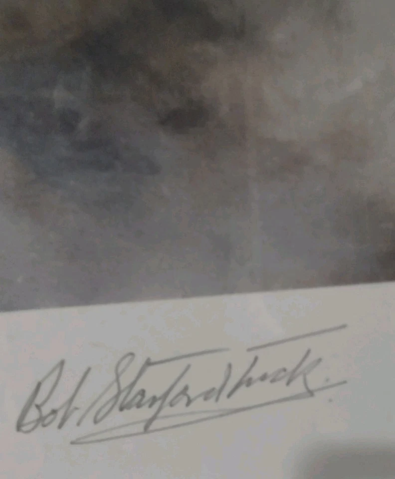 "Victory Over Dunkirk" by Robert Taylor. Limited Edition,Signed - Image 3 of 4