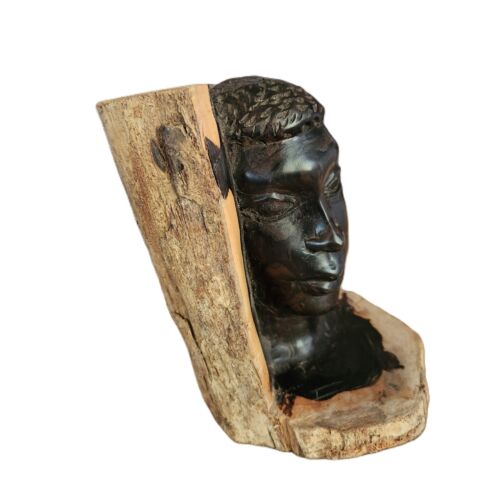 African Ebony Wood Carved Sculpture Bust Art - Picture 5 of 10