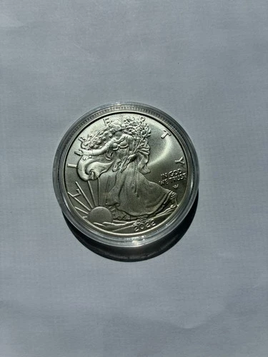 2022 W WALKING LIBERTY AMERICAN EAGLE .999 FINE SILVER DOLLAR COIN 1oz. $1 USA