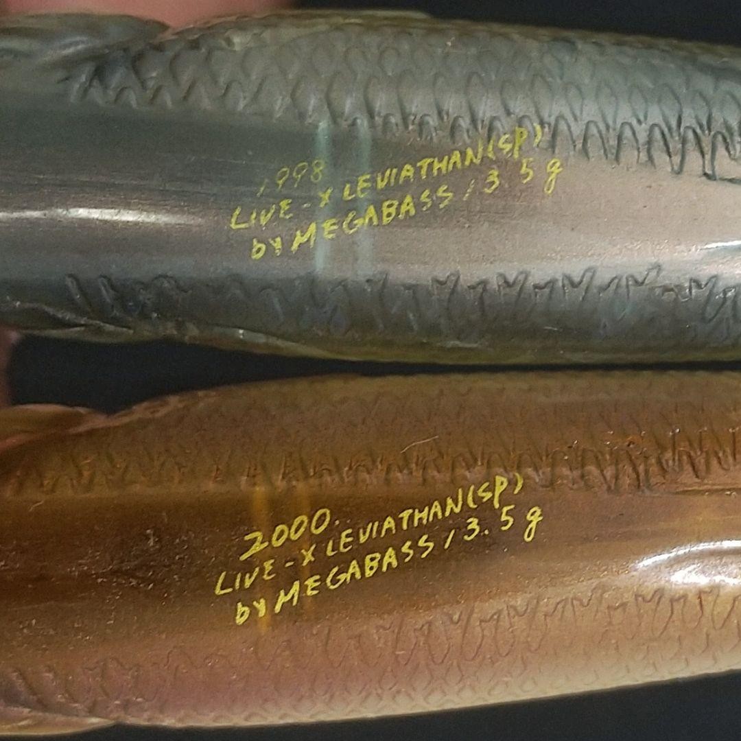 Megabass Live-X Leviathan Lure 2 Items Fishing Accessories Used - Image 5