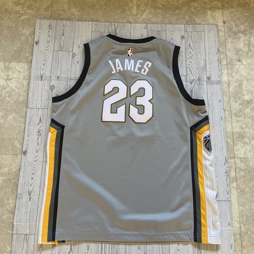 Nike Dri-Fit LeBron James Cavaliers City Edition The Land Youth XL Jersey Gray - Picture 5 of 7