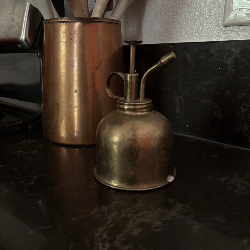 Vintage Brass Watering Can Cacti Orchid Mister Atomizer