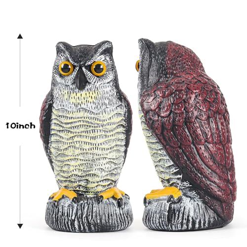 3 Pack Fake Owl Decoy to Keep Birds Away - Plastic Horned Owl Statues Bird - Picture 4 of 8