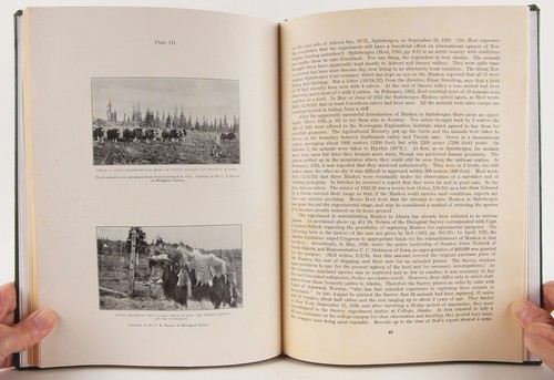 The Present Status of the Muskox in Arctic North America & Greenland 1934 Scarce - Picture 9 of 13