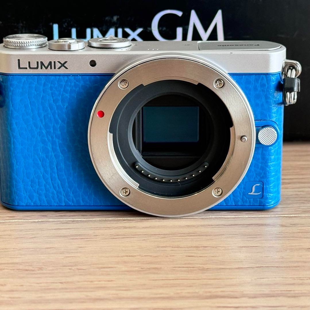 希少 LUMIX DMC-GM1S ブルー Panasonic Panasonic DMC-GM1SK-A