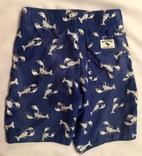 ABERCROMIE Boys Blue  White Boardshorts-Size Large