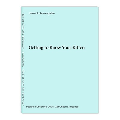 Getting to Know Your Kitten