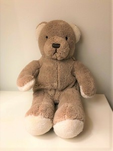 brookstone nap teddy bear
